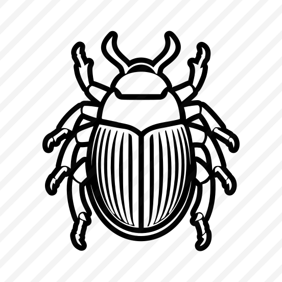 Beetle, Insect Logo, Weevil, Bug, Creature,icons preview
