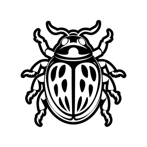 Beetle Mascot, Weevil, Bug, Insect, Creature,flat icon