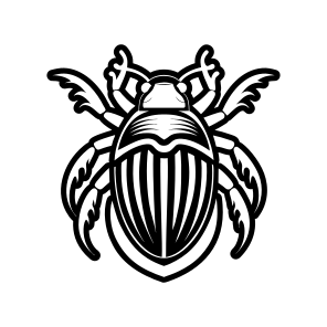 Beetle Mascot, Weevil, Bug, Insect, Creature,vector icon