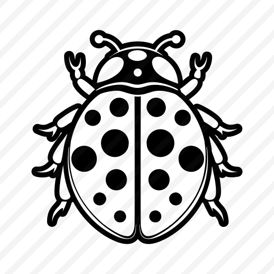 Ladybird, Nature, Creature, Specie, Insect preview