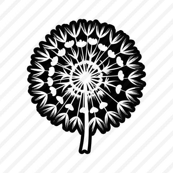 Blow Ball, Nature, Pissenlit, Flower, Dandelion, preview