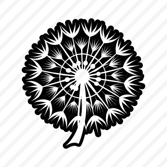 Dandelion, Nature, Pissenlit, Flower, Plant, preview