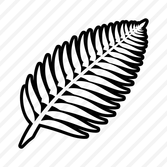 Tree Fern, Nature, Bracken, Plant, Leaf,,flat preview