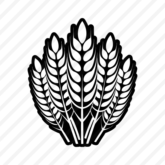 Wheat, Grain, Triticum, Plant, Nature, preview