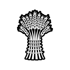 Wheat Plant, Grain, Triticum, Plant, Nature,,vector icon