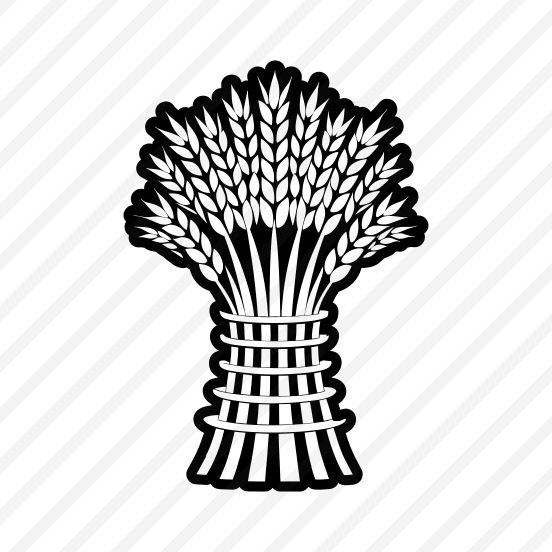 Wheat Plant, Grain, Triticum, Plant, Nature,,vector preview