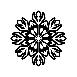 Snow Logo, Snowflake, Frost, Snow Crystal, Hoarfrost,,vector icon