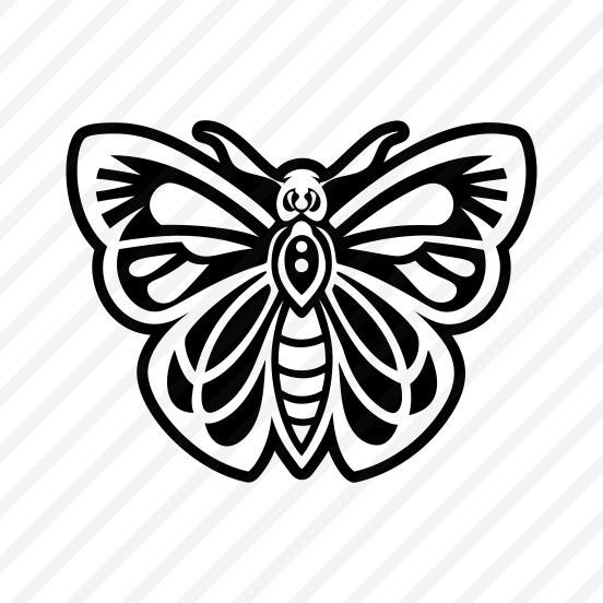 Lepidopetra, Nature, Creature, Specie, Insect,icons preview