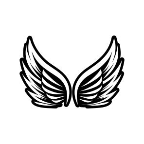 Bird Feather, Feather, Plumage, Nature, Wings,vector icon