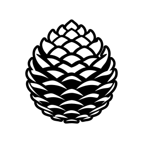 Fir Cone, Pinecone, Strobilus, Nature, Pine Fruit icon