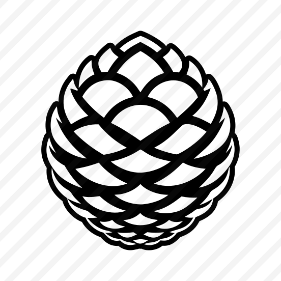 Fir Cone, Pinecone, Strobilus, Nature, Pine Fruit,vector preview