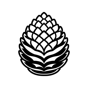 Pine Conelet, Pinecone, Strobilus, Nature, Pine Fruit icon