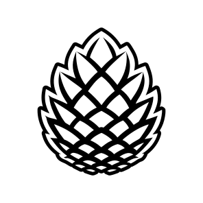 Pine Fruit, Pinecone, Strobilus, Plant, Nature,flat icon