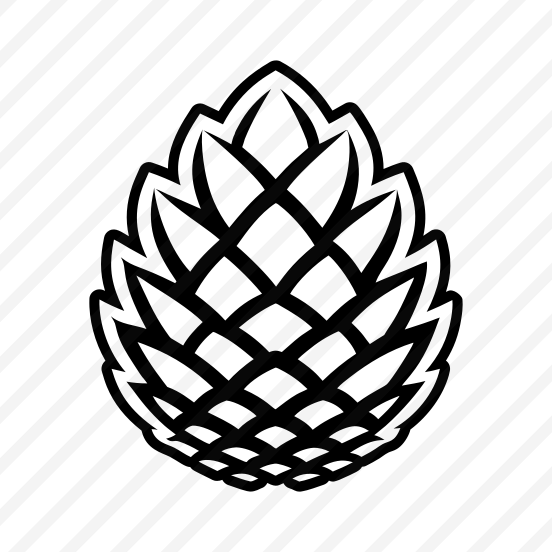 Pine Fruit, Pinecone, Strobilus, Plant, Nature,flat preview