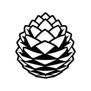 Pine Fruit, Pinecone, Strobilus, Plant, Nature,icons icon