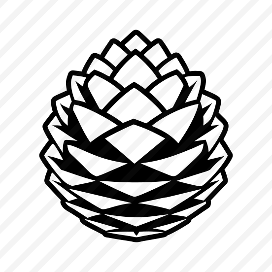 Pine Fruit, Pinecone, Strobilus, Plant, Nature,icons preview
