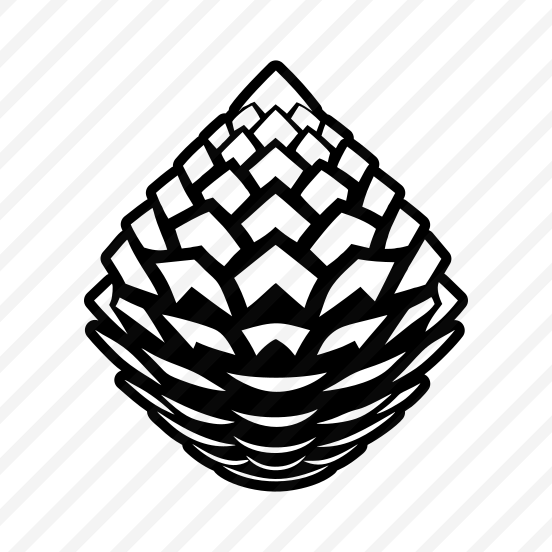 Pine Fruit, Pinecone, Strobilus, Plant, Nature,vector preview