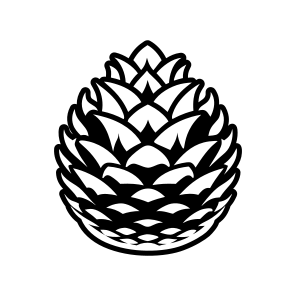 Pinecone, Strobilus, Plant, Nature, Pine Fruit,flat icon