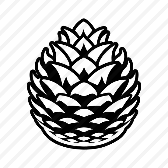 Pinecone, Strobilus, Plant, Nature, Pine Fruit,flat preview