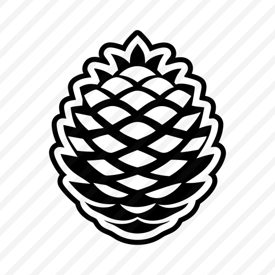 Spruce Cone, Pinecone, Strobilus, Plant, Nature, Pine Fruit preview