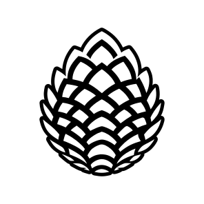 Spruce Cone, Pinecone, Strobilus, Plant, Nature, Pine Fruit,flat icon