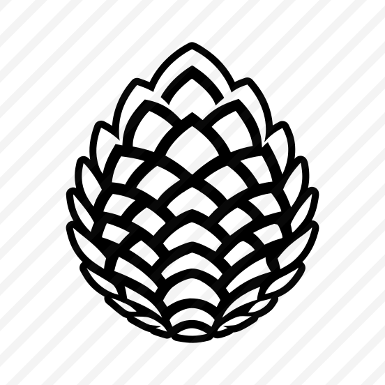 Spruce Cone, Pinecone, Strobilus, Plant, Nature, Pine Fruit,flat preview