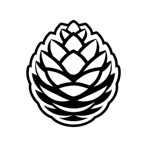 Spruce Cone, Pinecone, Strobilus, Plant, Nature, Pine Fruit,icons icon