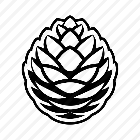 Spruce Cone, Pinecone, Strobilus, Plant, Nature, Pine Fruit,icons preview
