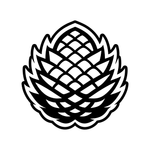 Spruce Cone, Pinecone, Strobilus, Plant, Nature, Pine Fruit,vector icon