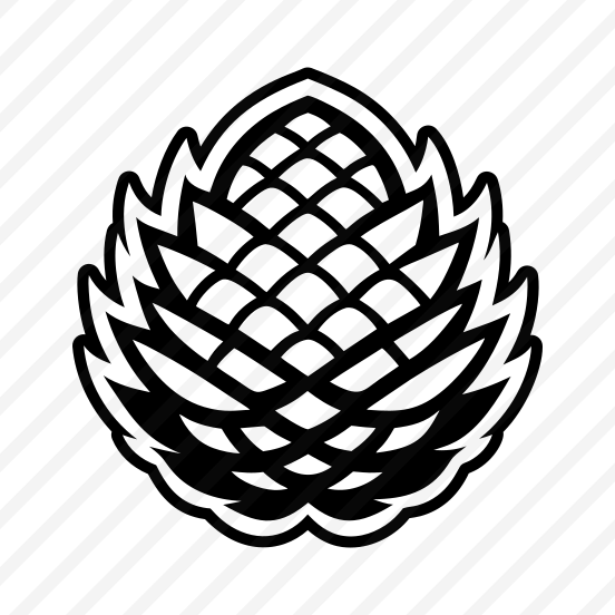 Spruce Cone, Pinecone, Strobilus, Plant, Nature, Pine Fruit,vector preview