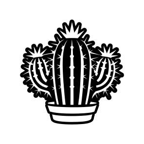 Cactus Plant, Cactoid, Plant, Leaf, Nature, icon