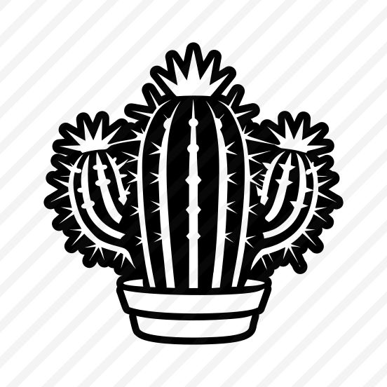 Cactus Plant, Cactoid, Plant, Leaf, Nature, preview