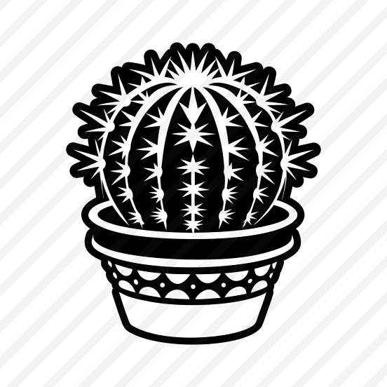 Spiny Plant, Cactoid, Cactus, Leaf, Nature, preview