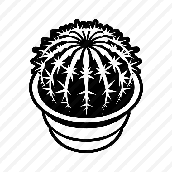 Succulent Plant, Cactoid, Cactus, Leaf, Nature,,vector preview