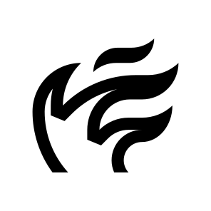 Flame Fire Heat Light Twelve Line icon
