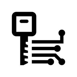 Cyber Security Key Network Access icon