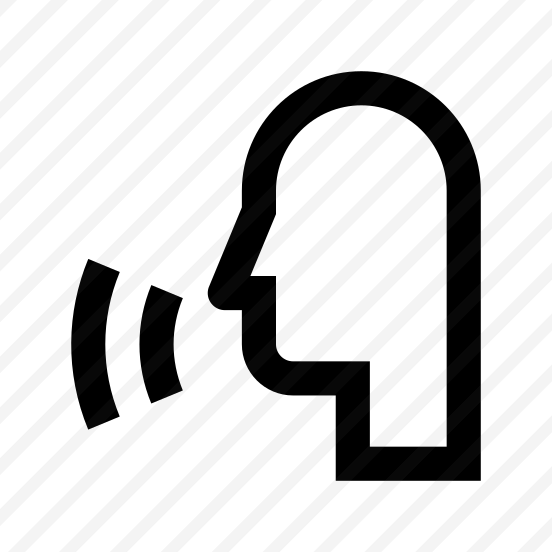 Human People Vote Voice Icon preview