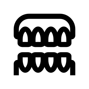 Dentistry Teeth Jaw Line Icon icon