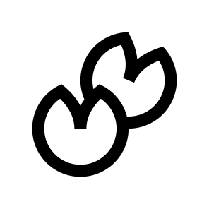 Cookie Fortune Chinese Food Icon icon
