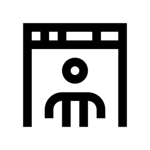 Airport Customs Inspection Border Icon icon