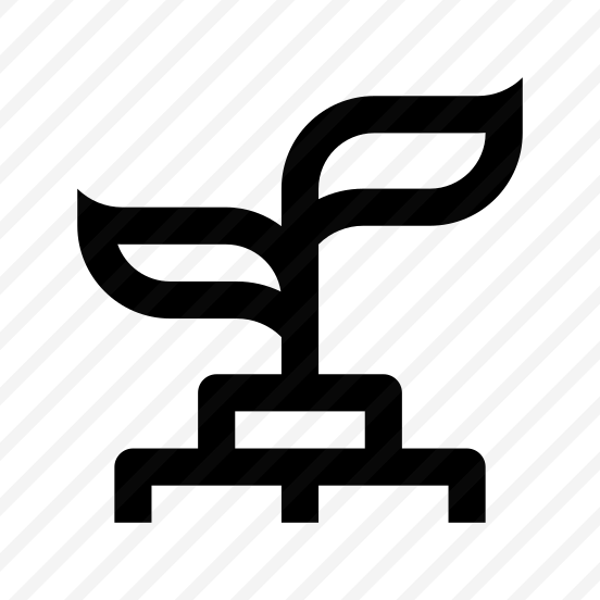 Coins Capital Growth Earnings Savings preview