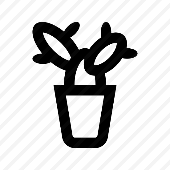 Flower Plant Herb Cactus Two preview