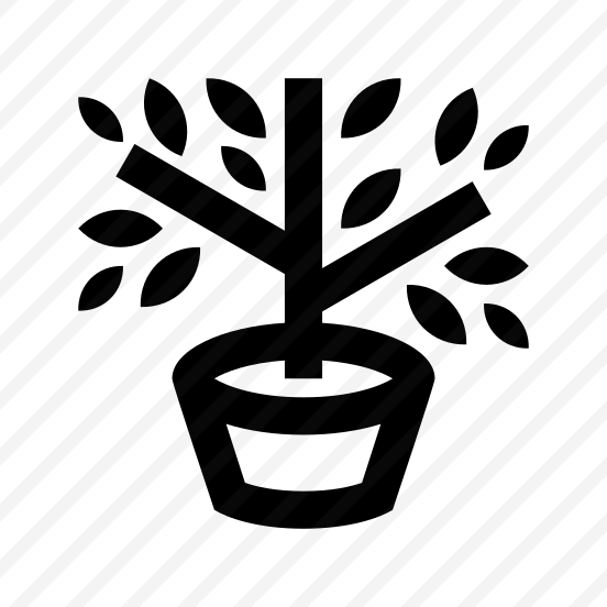 Garden Plant Shrub Bush Leaves Pot preview