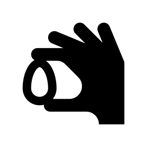 Chicken Egg In Hand Icon icon