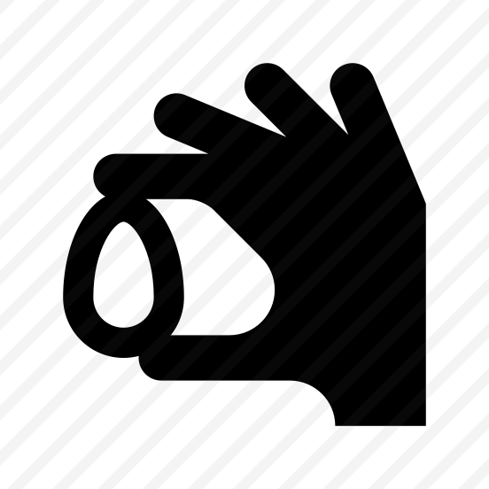 Chicken Egg In Hand Icon preview