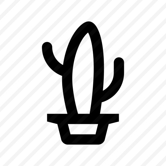 Cactus Cinco De Mayo One Nine preview