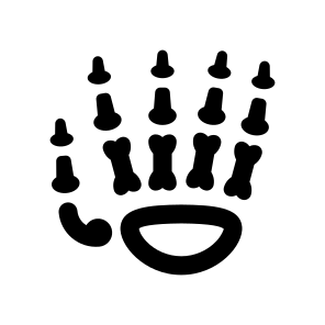 Anatomy Bones Hand Fingers Icon icon
