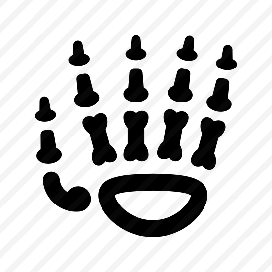 Anatomy Bones Hand Fingers Icon preview