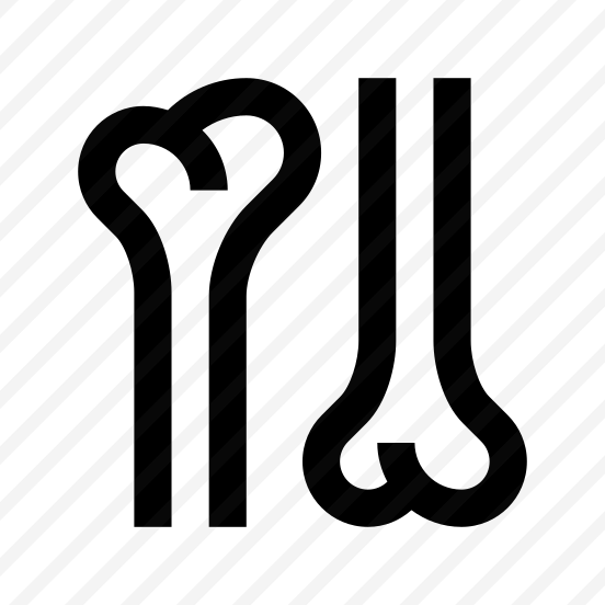 Anatomy Bones Skeleton Icon Symbol preview