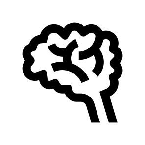 Anatomy Brain Head Two Icon icon